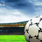 Ảnh hưởng của bóng đá đến đời sống xã hội